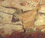 Peinture des grottes de lascaux